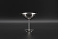Linea Collection | Linea 06 - Modern Champagne Coupe